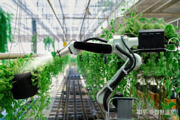 物聯(lián)網(wǎng)技術(shù)研發(fā) 智能溫室與植物工廠高效運(yùn)營的核心驅(qū)動(dòng)力